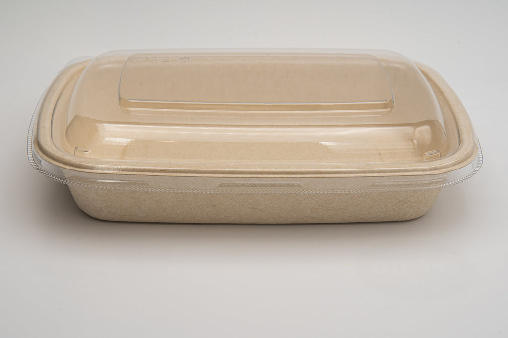 24 Oz Rectangular Compostable Food Container (300pcs)